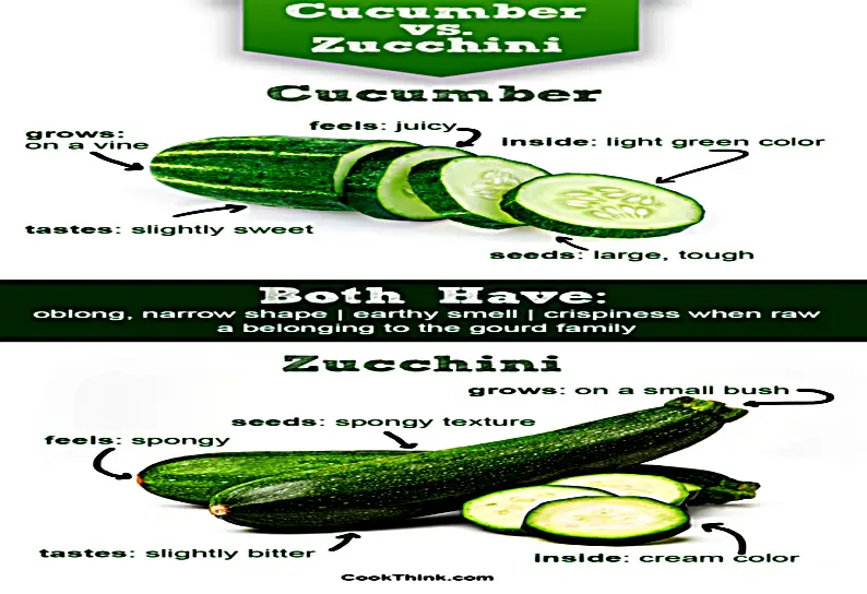 How To Tell Zucchini From Cucumber